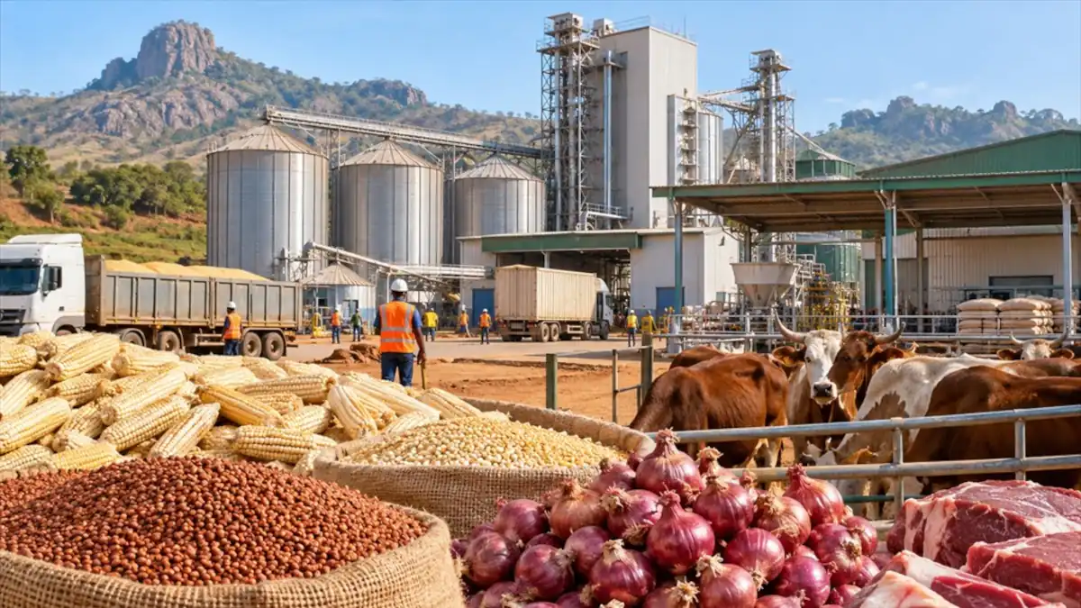 Chantier de modernisation d'une route au Cameroun