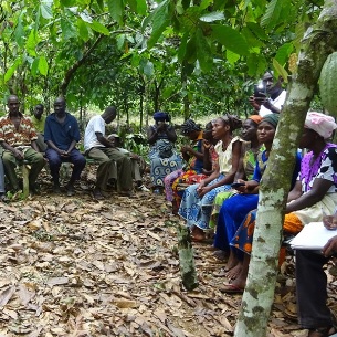 CAMEROUN :: Les cacaoculteurs de la région du Sud-Ouest appellent à la candidature de Paul BIYA :: CAMEROON Les cacaoculteurs de la région du Sud-Ouest appellent à la candidature de Paul BIYA