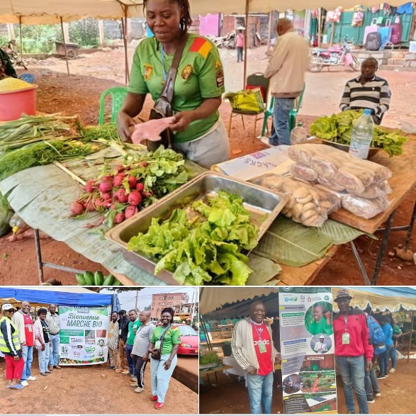 Le CFPA participe au tout premier marché bio de la ville de Bangangté