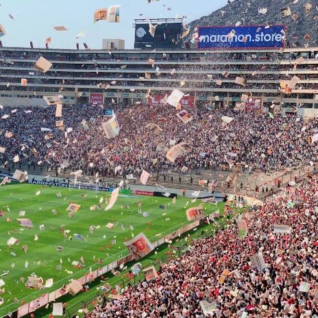 Quels facteurs déterminent l’efficacité du striking dans les combats UFC modernes