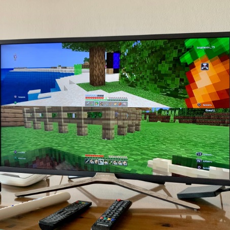 MONDE ENTIER :: Hébergement de serveur Minecraft : quel intérêt ?. :: WORLD Hébergement de serveur Minecraft : quel intérêt ?.