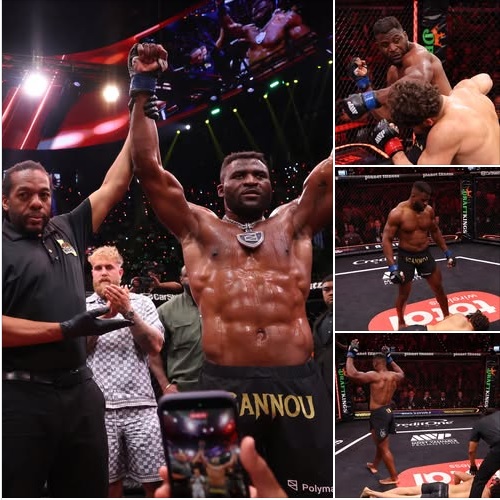 Los Angeles: Retour foudroyant de Francis Ngannou avec un KO au premier round en MMA