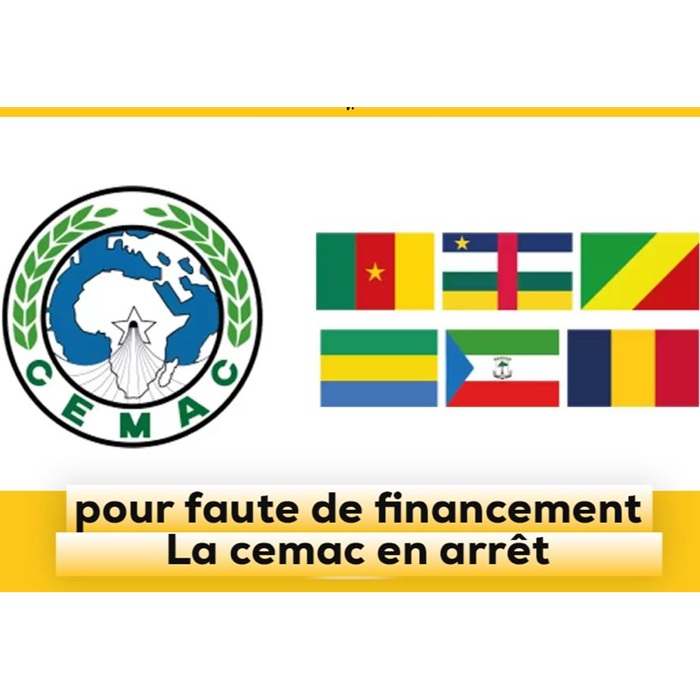 Terrain, tontine, obligations… pourquoi la BVMAC peine encore à séduire les épargnants