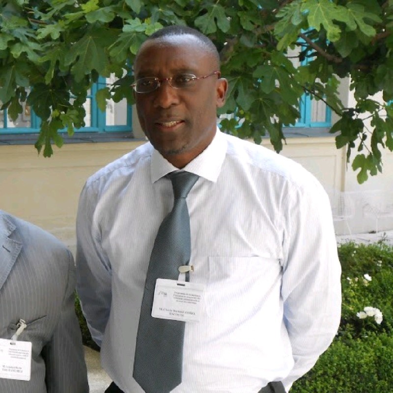 Scénario Électoral Camerounais : Manipulation contre Kamto et Opposition Factice ? :: CAMEROON Scénario Électoral Camerounais : Manipulation contre Kamto et Opposition Factice ?