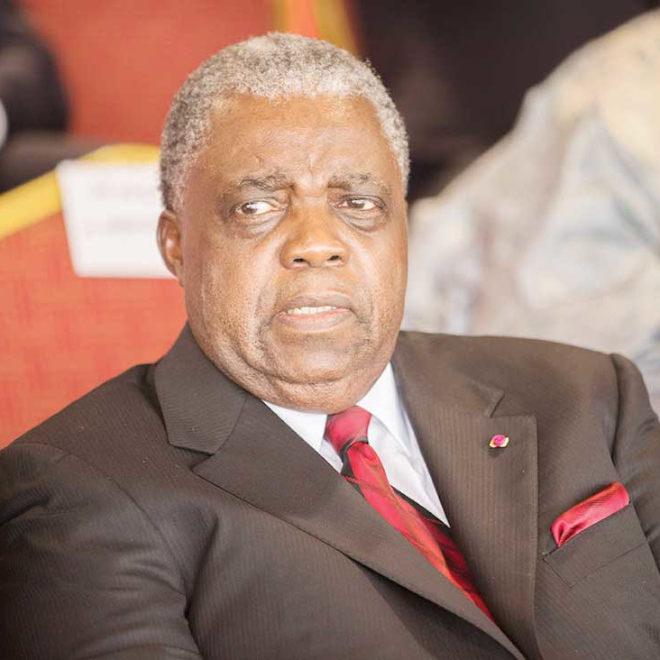Cameroun : Le ministre Sadi recadre Titus Edzoa sur la question de la transition